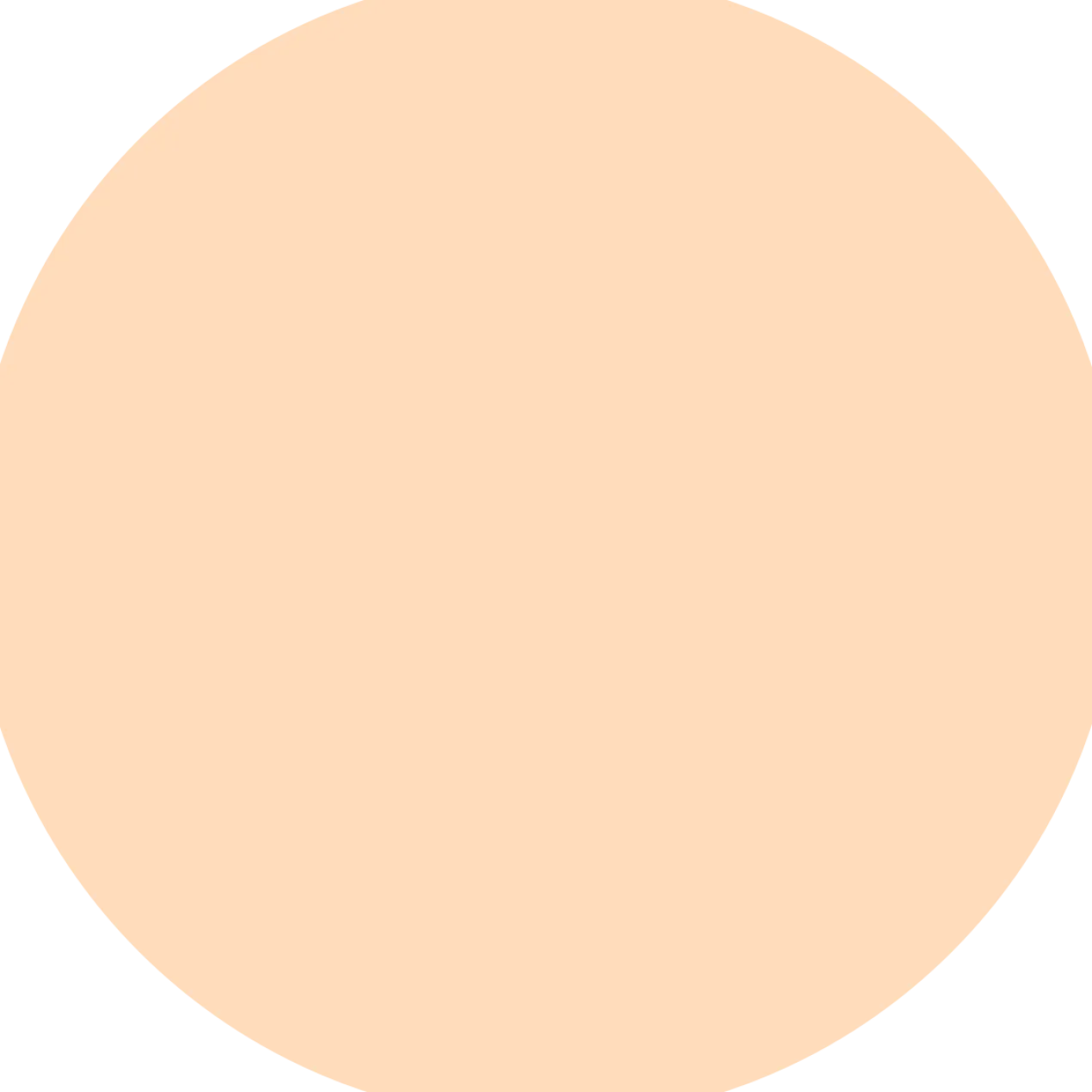 Terracotta Concealer Corrector Perfección Natural