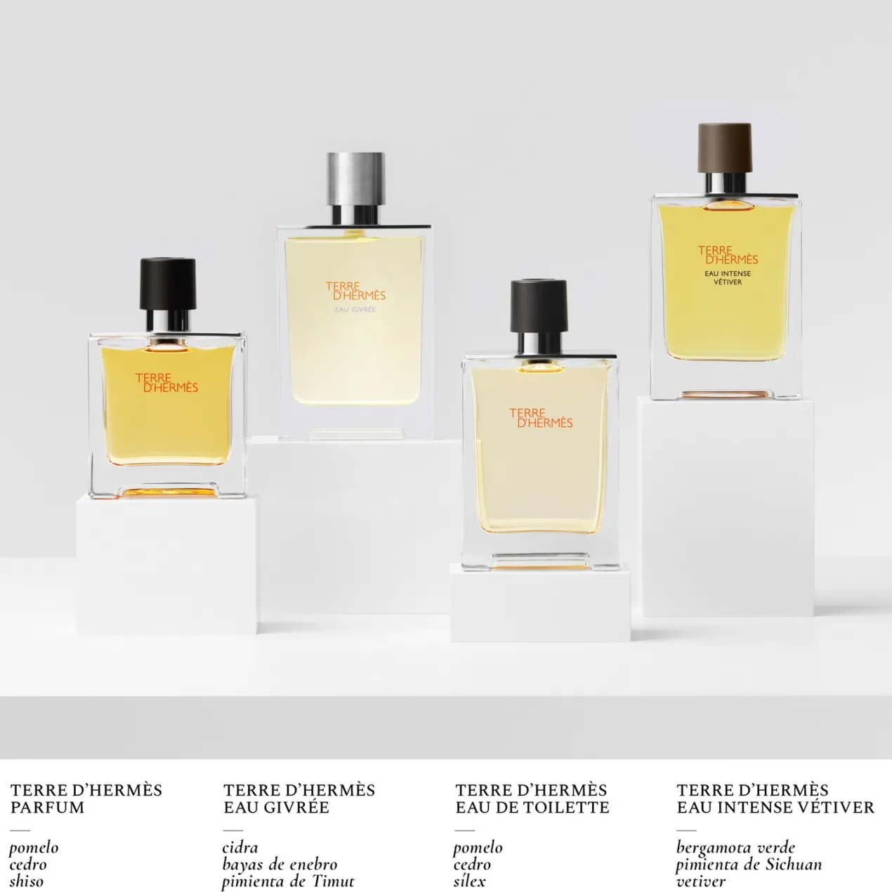 Terre d'Hermès Parfum