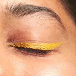 The Color Pen Eyeliner Delineador de Ojos