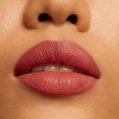 The Lipstick Barra de Labios