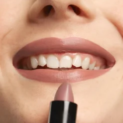 The Lipstick Barra de Labios