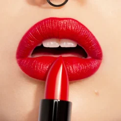 The Lipstick Barra de Labios