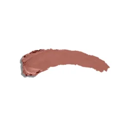 The Lipstick Barra de Labios