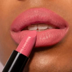 The Lipstick Barra de Labios