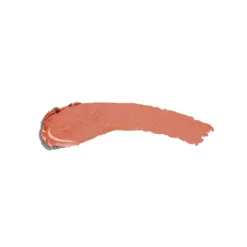 The Lipstick Barra de Labios