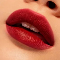The Lipstick Barra de Labios