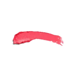 The Lipstick Barra de Labios