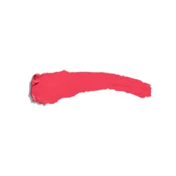 The Lipstick Barra de Labios