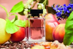 The Only One EDP