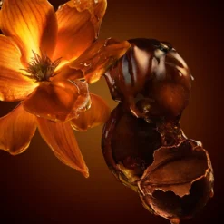The Scent For Him Eau de Parfum Intense