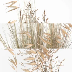 Un Jardin à Cythère Eau de Toilette