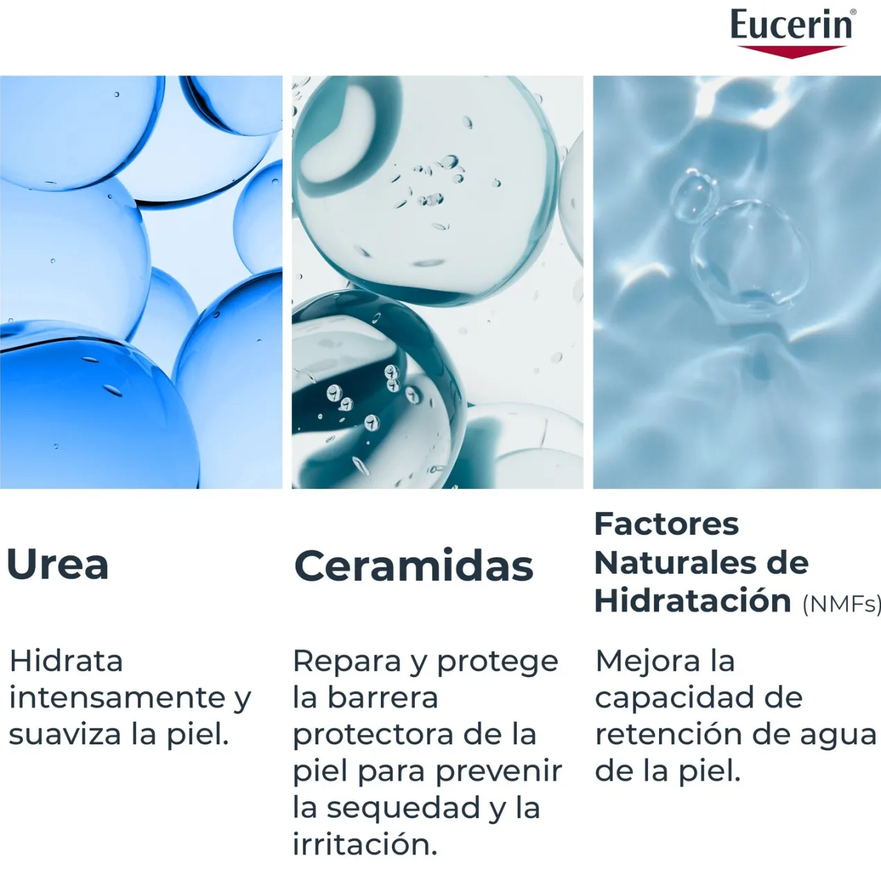 UreaRepair Loción Hidratante Intensiva 10% Urea