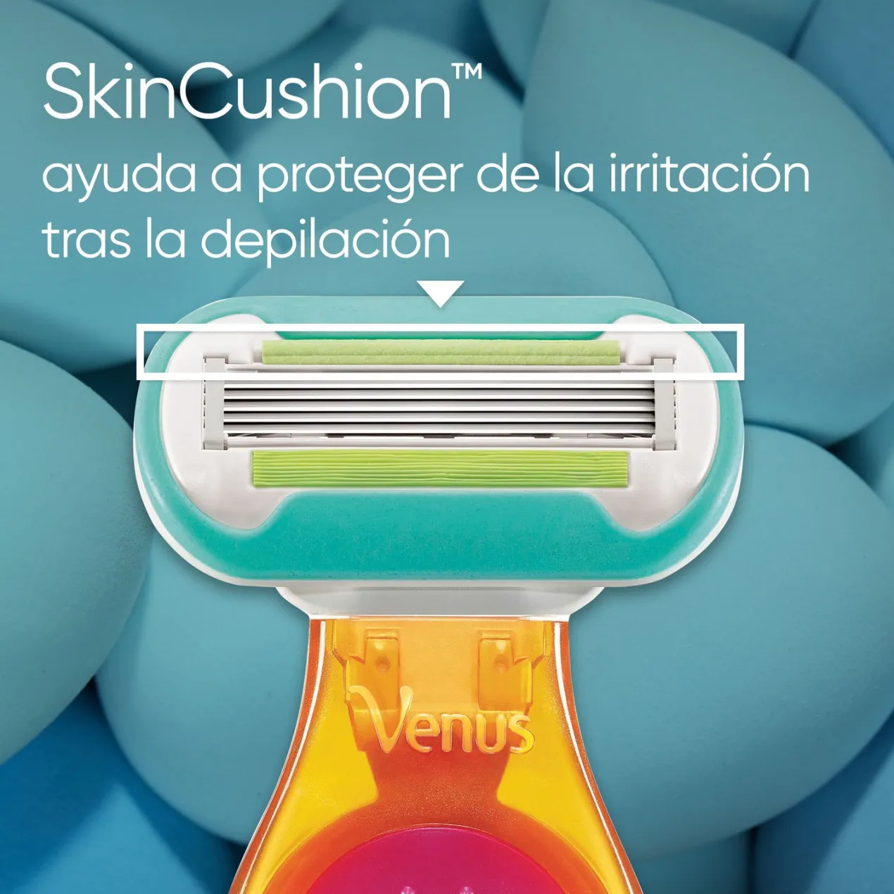 Venus Snap Maquinilla